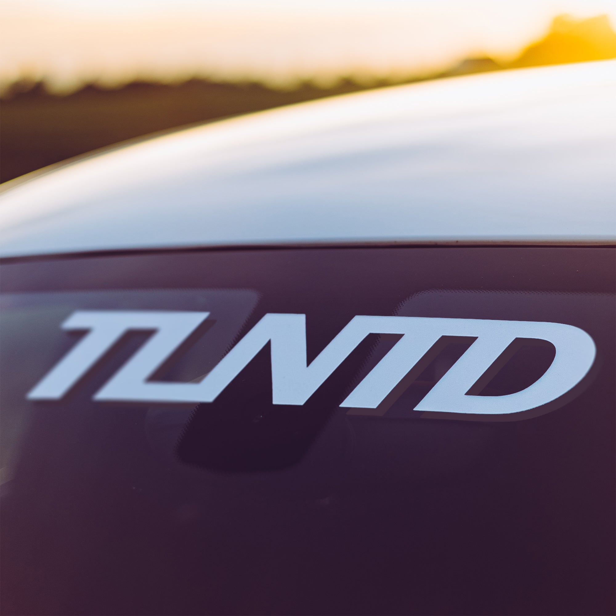 TLNTD Sticker