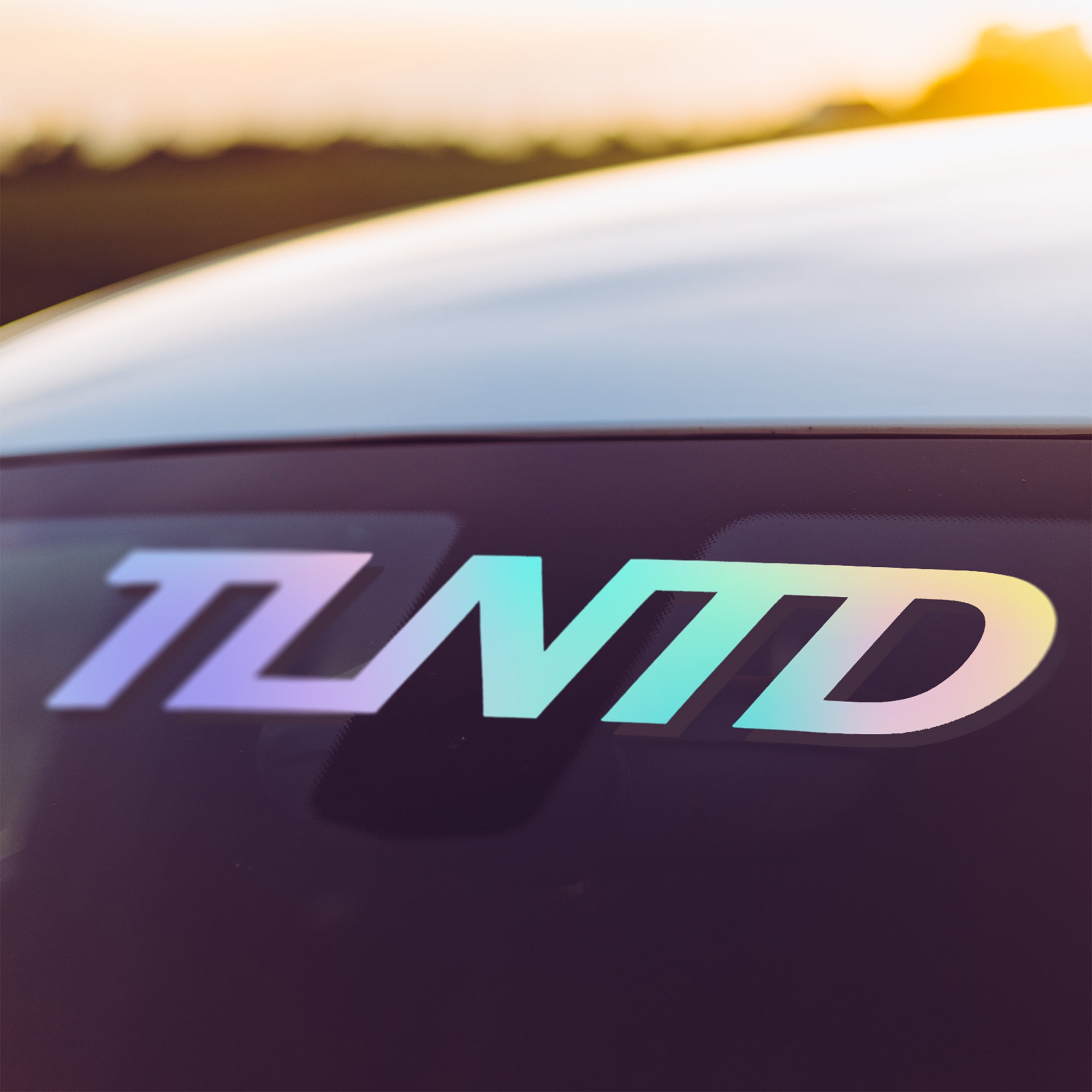TLNTD Sticker