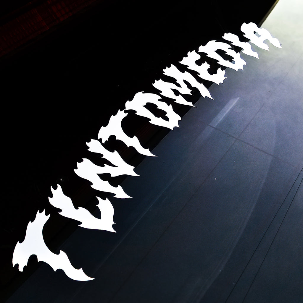 TLNTDmedia Fire Sticker