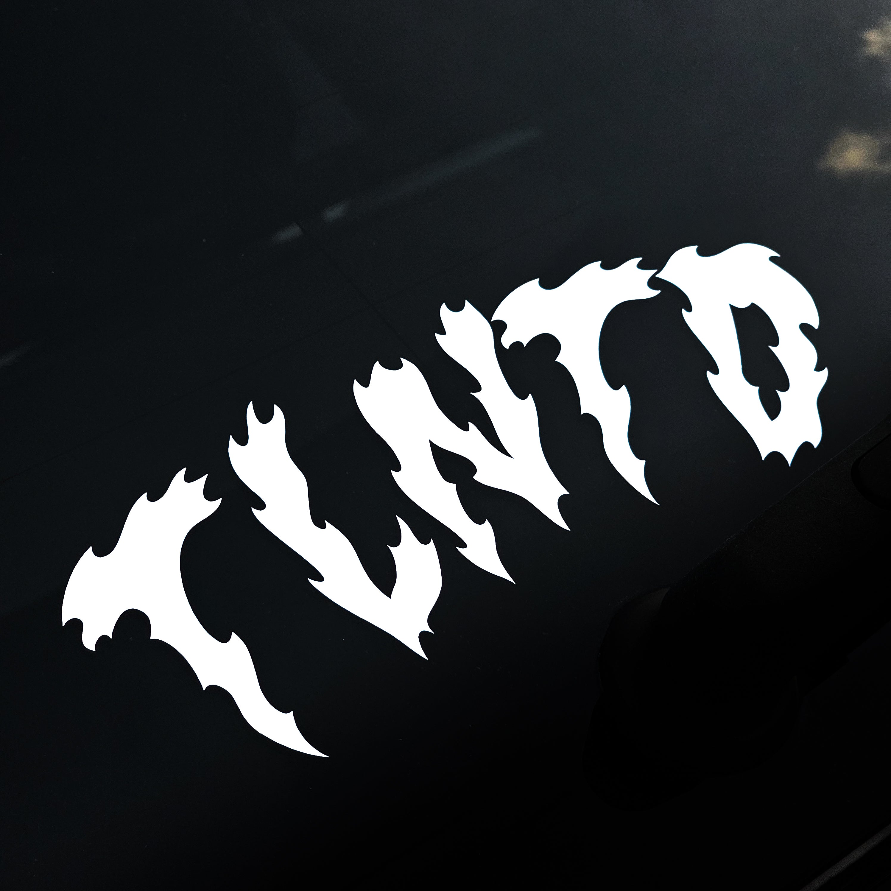 TLNTD Fire Sticker